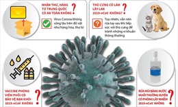Hiểu đúng về virus Corona chủng mới