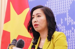 Việt Nam sẵn sàng tiến hành các biện pháp bảo hộ công dân tại Đức và Hàn Quốc