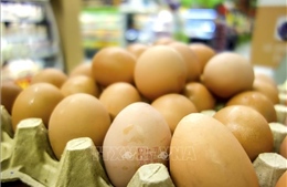 Thái Lan cấm xuất khẩu trứng gà trong 7 ngày để đáp ứng nhu cầu nội địa