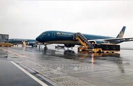 Vietnam Airlines vận chuyển miễn phí hàng trăm hành khách hết hạn cách ly