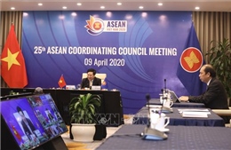 Bảo vệ Ngôi nhà chung ASEAN trước đại dịch COVID-19