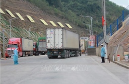 Giám đốc Sở Công Thương tỉnh Lạng Sơn: Thông tin cửa khẩu Tân Thanh dừng tiếp nhận hàng là chưa chính xác