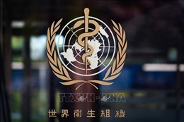 Trung Quốc ủng hộ vai trò của WHO trong chống đại dịch COVID-19