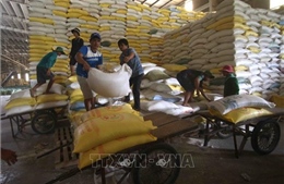 Xuất khẩu gạo 6 tháng tăng gần 18%