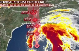 Mỹ đề phòng cơn bão Cristobal 