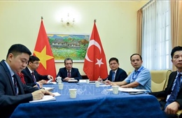 Trao đổi các biện pháp thúc đẩy quan hệ Việt Nam - Thổ Nhĩ Kỳ