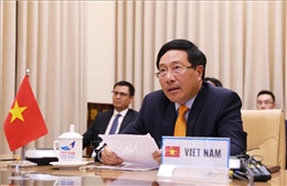 Việt Nam khẳng định vai trò tích cực, chủ động trong Hội đồng Bảo an LHQ