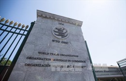 Các ứng cử viên bước vào cuộc đua cho vị trí Tổng Giám đốc WTO