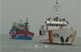 Việt Nam và Hoa Kỳ ký kết tăng cường năng lực thực thi pháp luật thủy sản