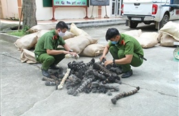 Mở thùng xe tải, phát hiện hơn 6 tấn lông gia súc không rõ nguồn gốc