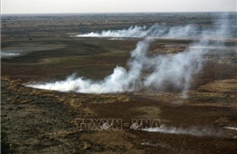 Cháy rừng đe dọa nghiêm trọng một trong những châu thổ lớn nhất thế giới