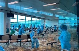 Đưa trên 240 công dân Việt Nam từ Singapore về nước