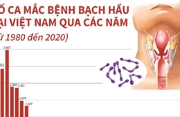 Số ca mắc bệnh bạch hầu tại Việt Nam qua các năm