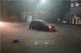 Bão Maysak gây mưa lớn trên Bán đảo Triều Tiên