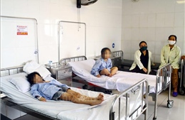Tất cả học sinh bị ong đốt ở Nghệ An đều đi học bình thường trở lại