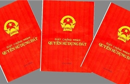 Vụ cán bộ cho &#39;mượn&#39; giấy chứng nhận sử dụng đất tại Đà Nẵng: Đã thu hồi 19 giấy chứng nhận