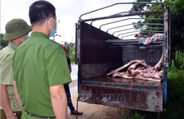  Phát hiện vụ vận chuyển gần 1 tấn lợn và thịt lợn mắc dịch tả lợn châu Phi