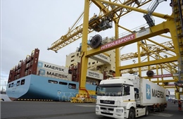 Tập đoàn vận tải Maersk của Đan Mạch sa thải 2.000 nhân viên  