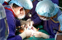 Bệnh viện Việt Đức xác lập kỷ lục mới với ca ghép thận thứ 1.000