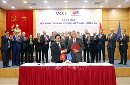 Ra mắt Hội đồng doanh nghiệp Việt Nam - châu Âu