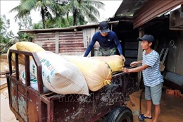Bàn phương án hỗ trợ người dân Quảng Trị tái sản xuất sau lũ lụt