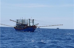 Kiên quyết ngăn chặn khai thác hải sản bất hợp pháp