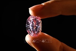 Viên kim cương hồng quý hiếm được bán với giá 26,6 triệu USD