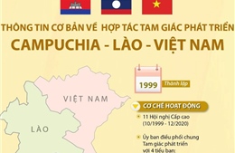 Thông tin cơ bản về Hợp tác tam giác phát triển Campuchia - Lào - Việt Nam