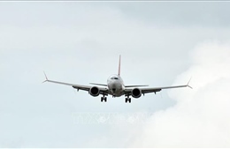 Boeing 737 MAX trở lại bầu trời Brazil