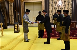 Quốc vương Malaysia mong muốn tăng cường hơn nữa quan hệ với Việt Nam