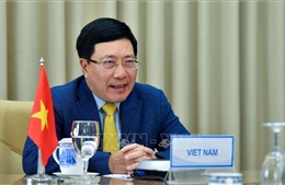 Việt Nam và Brunei nhất trí tăng cường phối hợp, gắn kết nội khối ASEAN