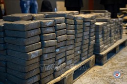 Ecuador thu giữ 1,3 tấn ma túy giấu trong container