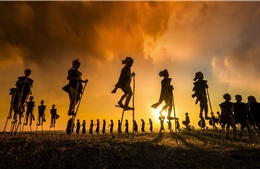 Nhiếp ảnh gia Việt Nam đạt giải vàng cuộc thi ảnh quốc tế TIFA