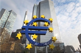 Những hoài nghi về đồng euro kỹ thuật số
