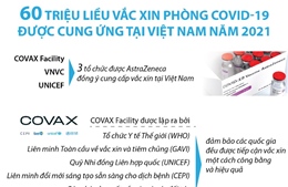 60 triệu liều vaccine phòng COVID-19 được cung ứng tại Việt Nam năm 2021