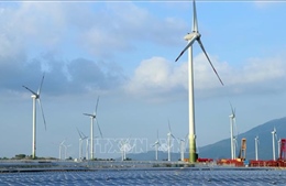 Nhà máy điện gió lớn nhất cả nước đi vào hoạt động