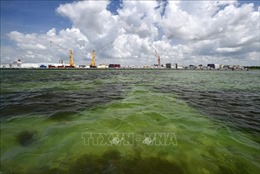 Hơn 2 triệu m3 nước thải nhiễm độc đe dọa tràn ra Vịnh Tampa