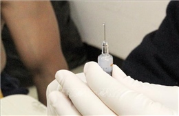 Brazil điều tra việc đổi vaccine lấy vàng khai thác trái phép