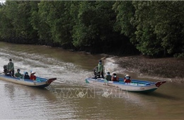 Một số địa phương phía Nam vẫn đạt tỷ lệ cử tri đi bầu cao dù trời mưa