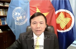 Việt Nam kêu gọi tăng cường bảo vệ trẻ em trong xung đột vũ trang trước tác động của đại dịch 