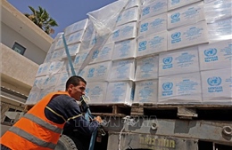 Ai Cập gửi 130 xe hàng cứu trợ tới Dải Gaza