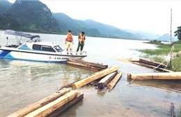 Phát hiện thuyền chở 42 hộp gỗ trái phép trên sông Gianh