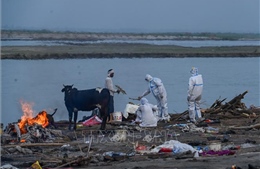 Chính phủ Ấn Độ yêu cầu điều tra hành vi thả trôi thi thể người bệnh trên sông Hằng