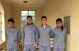 Tuyên Quang: Bắt giữ thêm 4 người Trung Quốc nhập cảnh trái phép