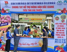 Đắk Lắk hỗ trợ tiêu thụ vải thiều Bắc Giang