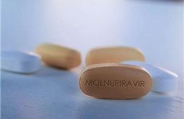 Hãng dược phẩm Merck: Thử nghiệm thuốc uống Molnupiravir mang lại kết quả đầy hứa hẹn