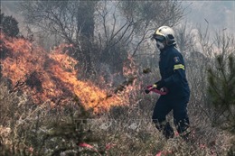 Cháy rừng đe dọa các vùng ngoại ô Athens