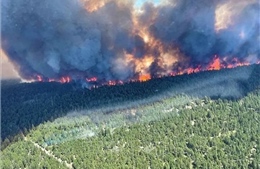 Cháy rừng bùng phát dữ dội, quân đội Canada được đặt trong tình trạng trực chiến