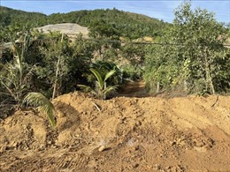 Điều tra, làm rõ vụ khai thác đất trái phép dọc cao tốc La Sơn - Túy Loan