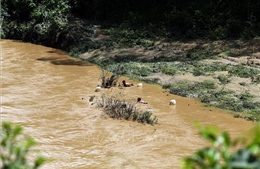 Hai bé gái 8 tuổi tử vong khi tắm suối Nậm Lay